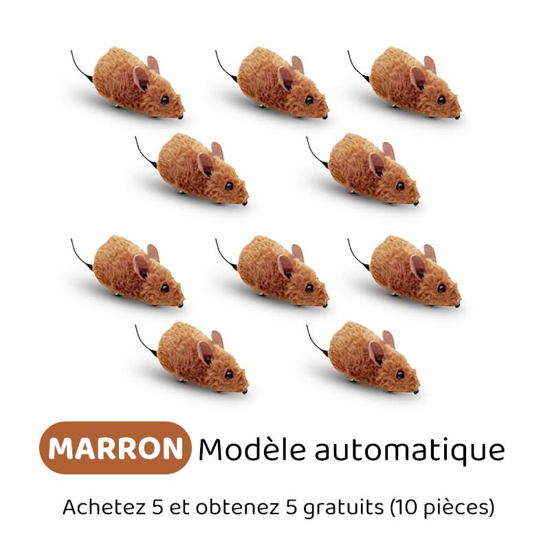 🐶🐕💥 Jouets Souris Interactifs Automatiques avec Son Couinant💥🐩🐈🐱