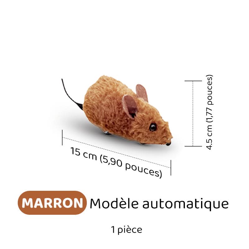 🐶🐕💥 Jouets Souris Interactifs Automatiques avec Son Couinant💥🐩🐈🐱