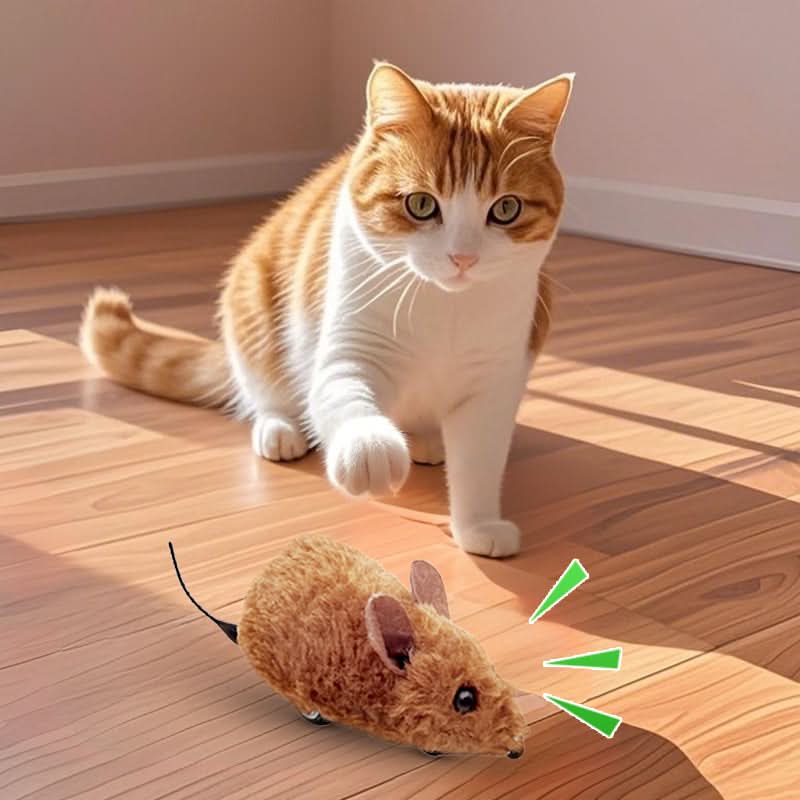 🐶🐕💥 Jouets Souris Interactifs Automatiques avec Son Couinant💥🐩🐈🐱