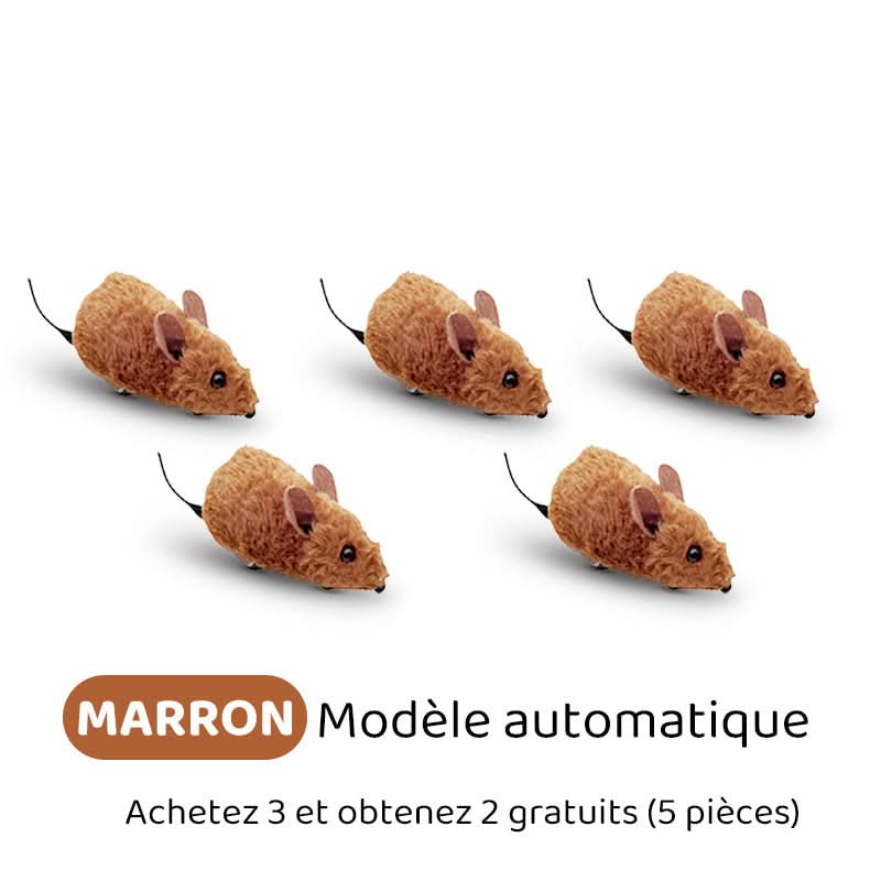 🐶🐕💥 Jouets Souris Interactifs Automatiques avec Son Couinant💥🐩🐈🐱