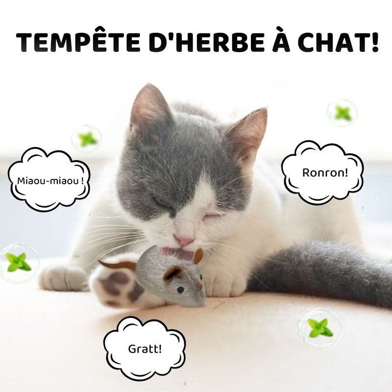 🐶🐕💥 Jouets Souris Interactifs Automatiques avec Son Couinant💥🐩🐈🐱