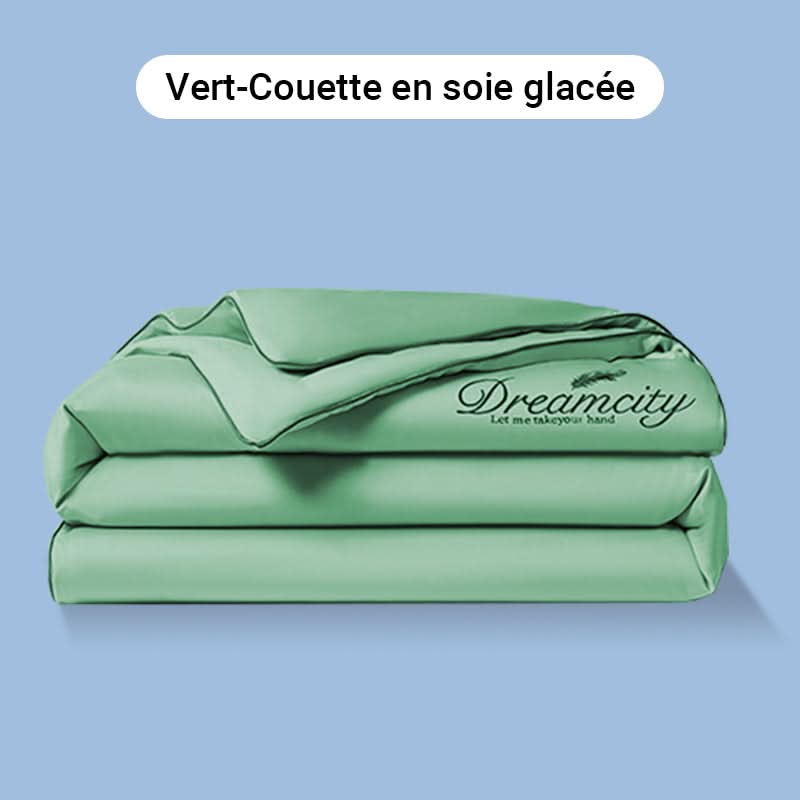 ❄️Parure de lit quatre pièces en velours de haute qualité💕Confortable et rafraîchissant