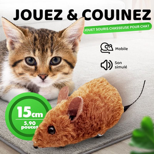 🐶🐕💥 Jouets Souris Interactifs Automatiques avec Son Couinant💥🐩🐈🐱