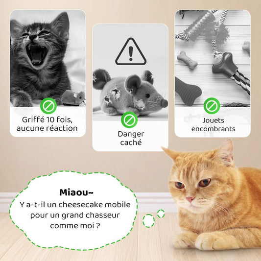 🐶🐕💥 Jouets Souris Interactifs Automatiques avec Son Couinant💥🐩🐈🐱