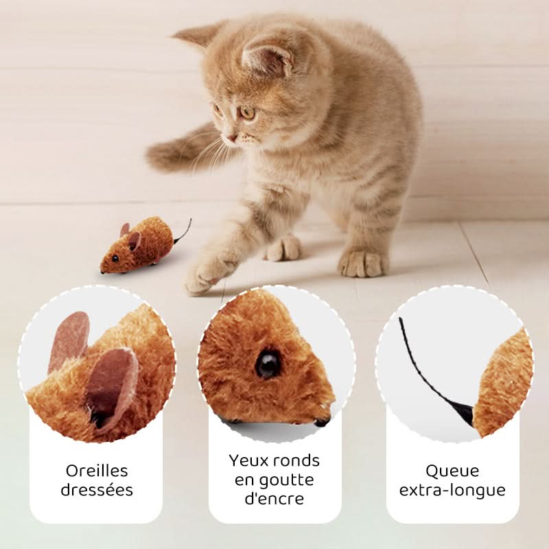 🐶🐕💥 Jouets Souris Interactifs Automatiques avec Son Couinant💥🐩🐈🐱