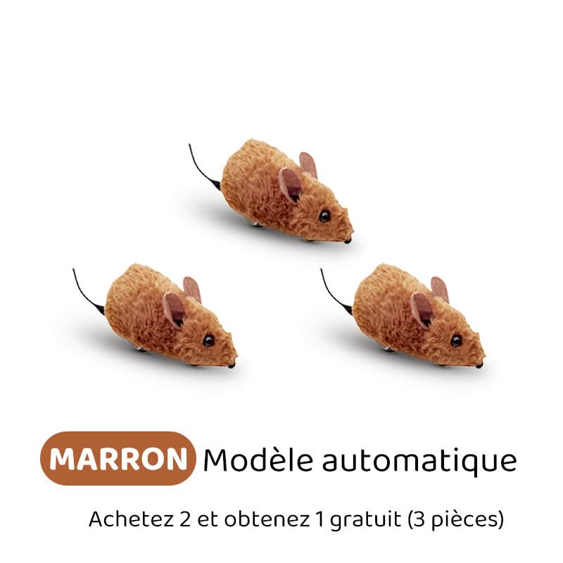 🐶🐕💥 Jouets Souris Interactifs Automatiques avec Son Couinant💥🐩🐈🐱