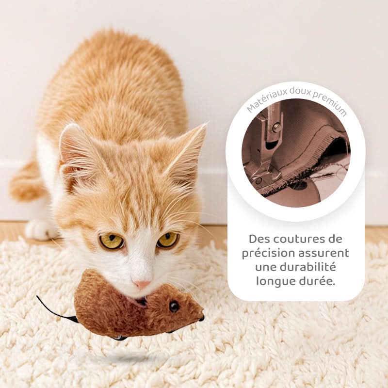 🐶🐕💥 Jouets Souris Interactifs Automatiques avec Son Couinant💥🐩🐈🐱