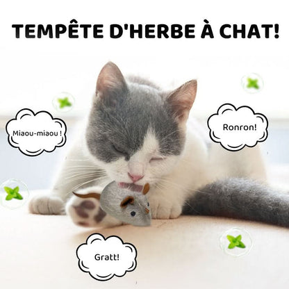 🐶🐕💥 Jouets Souris Interactifs Automatiques avec Son Couinant💥🐩🐈🐱