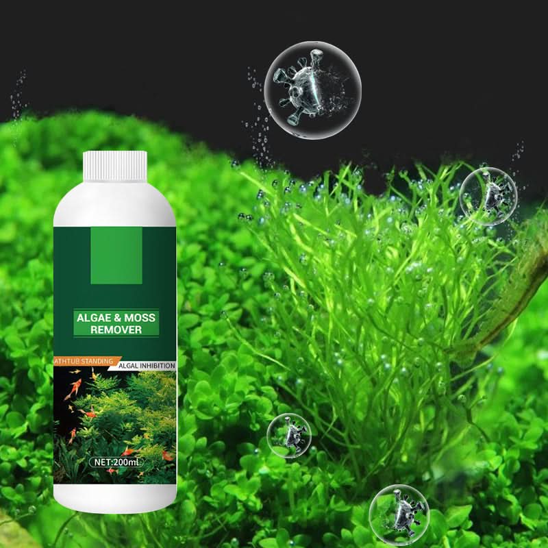 🎉Buy More Save More💥 Éliminateur d'algues et de mousse pour aquarium - Purification sûre de l'eau