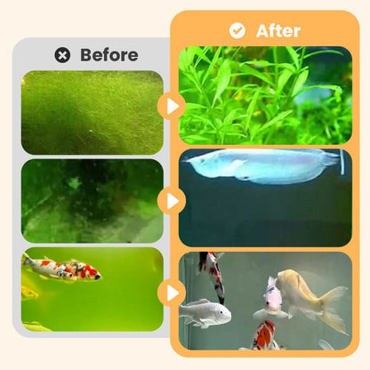 🎉Buy More Save More💥 Éliminateur d'algues et de mousse pour aquarium - Purification sûre de l'eau